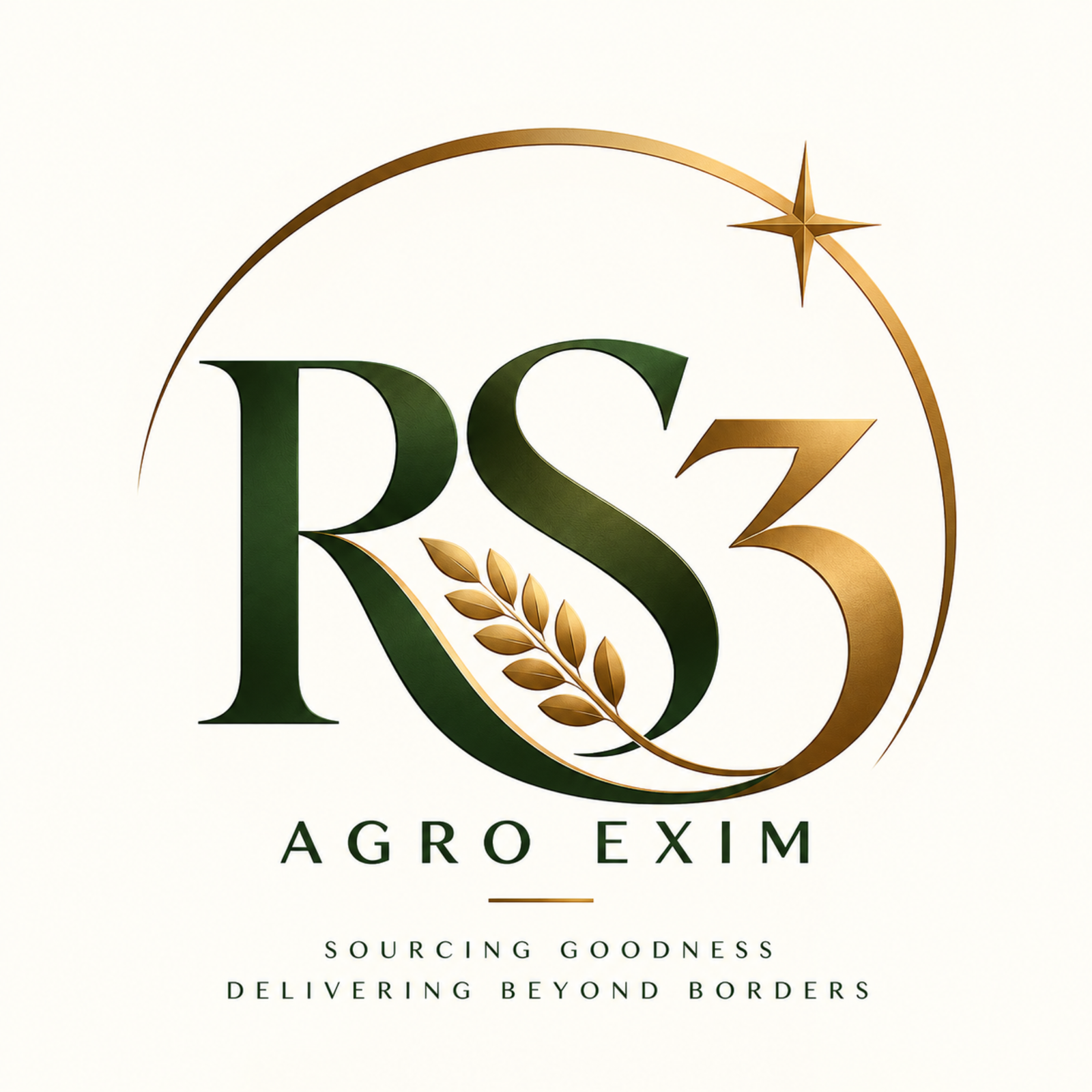RS3 AGRO EXIM